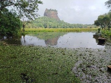 K. A. Sugath kumara Jayasinghe service gallery image 7