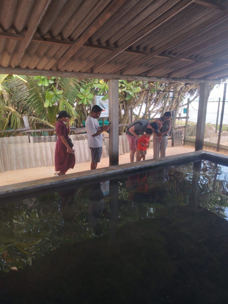 Ceylon Dilan Tours 🇱🇰 gallery image 11