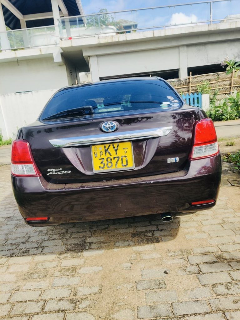 Rear — Toyota Axio