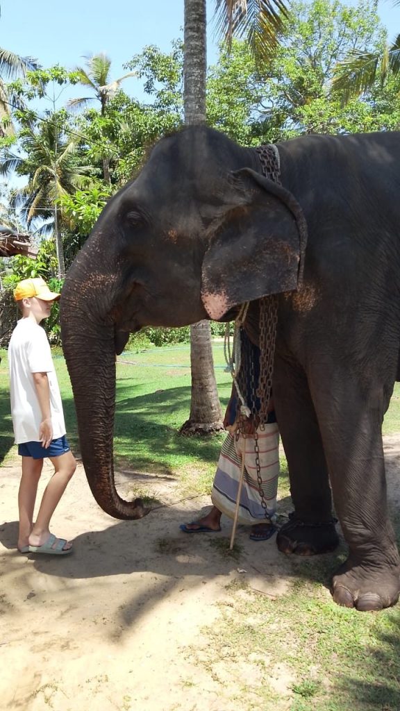 Ceylon Dilan Tours 🇱🇰 gallery image 21