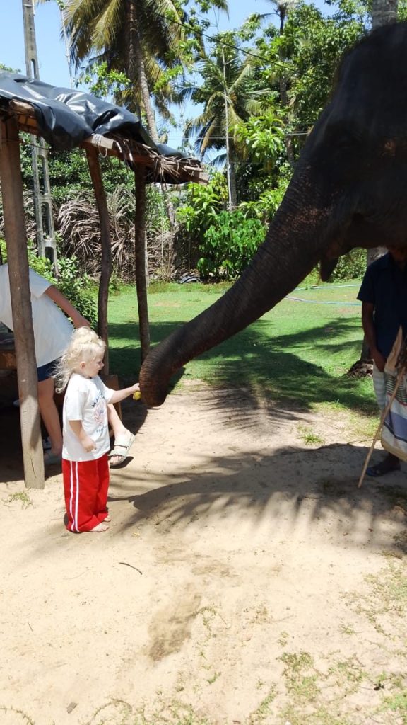 Ceylon Dilan Tours 🇱🇰 gallery image 22