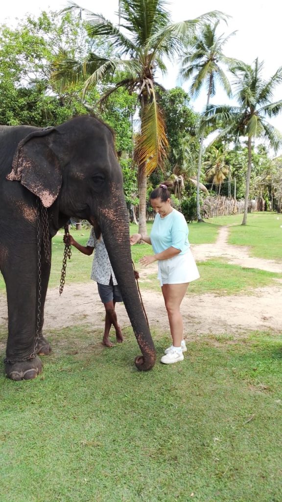 Ceylon Dilan Tours 🇱🇰 gallery image 20