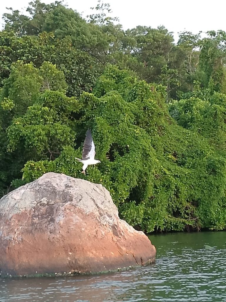 Ceylon Dilan Tours 🇱🇰 gallery image 13