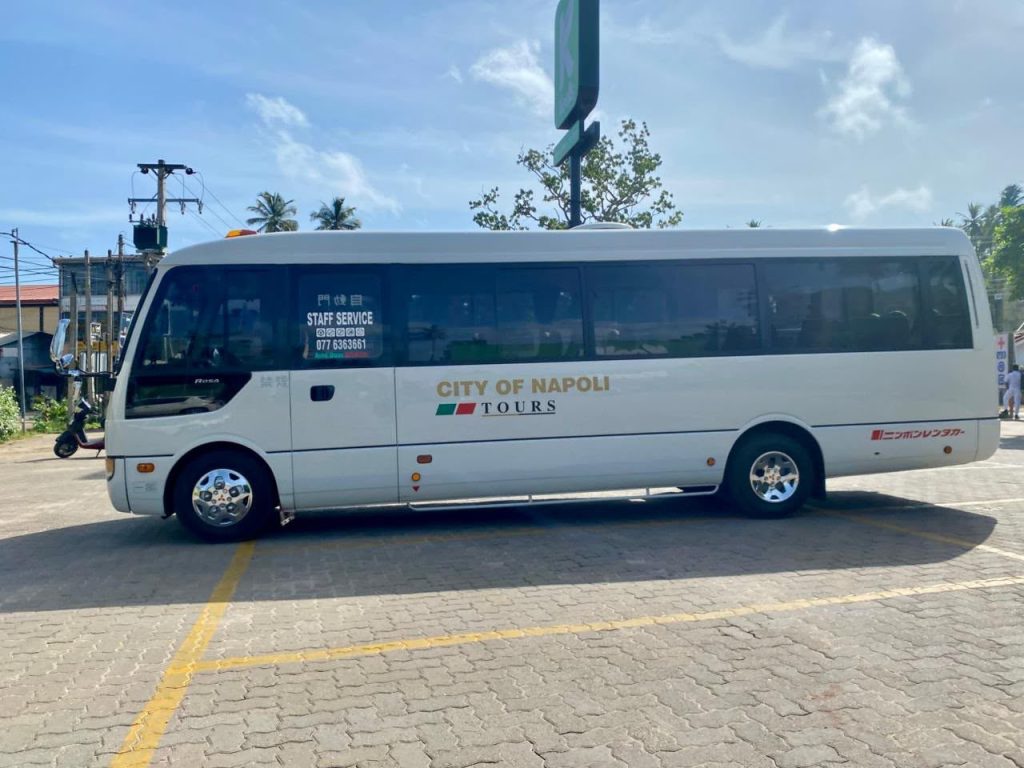 Left side — Mitsubishi Rosa