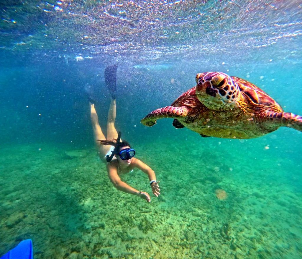 Ceylon Dilan Tours 🇱🇰 service gallery image 8