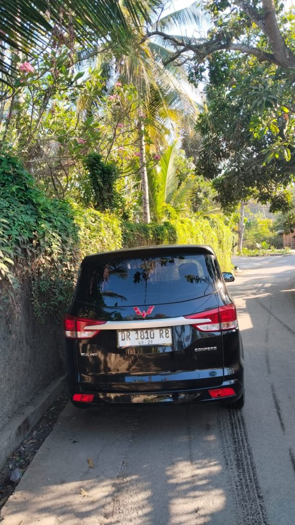 Rear — WULLING CONFERO