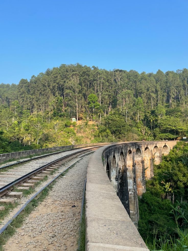Upul dodantenne gallery image 18
