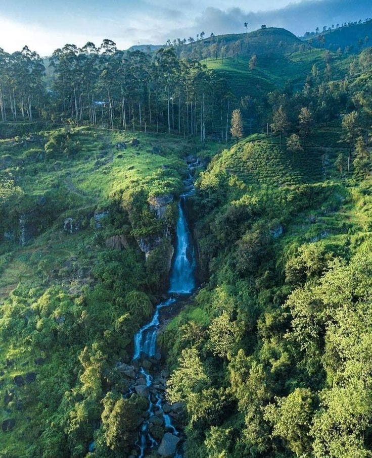 Upul dodantenne service gallery image 9