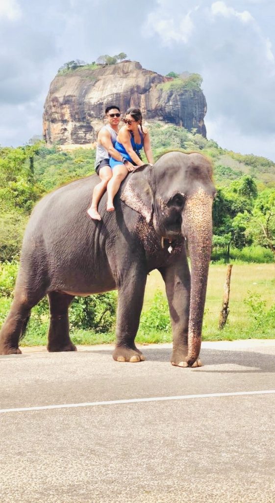 Ceylon Pearl Travels gallery image 12