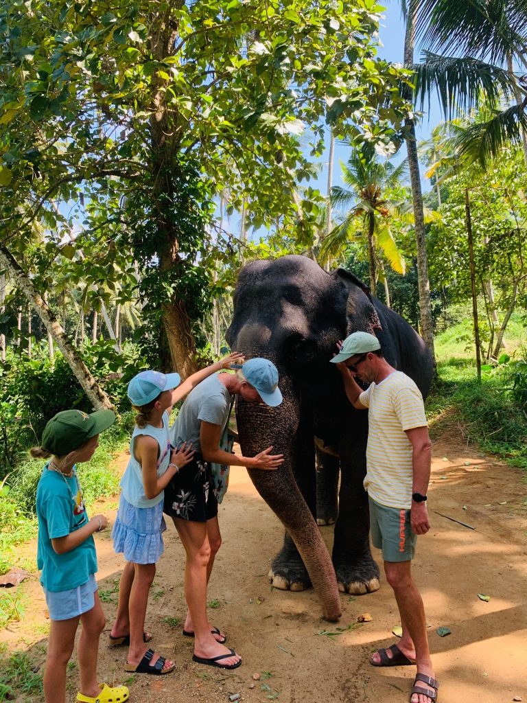 Travel With Gihan Srilanka gallery image 22