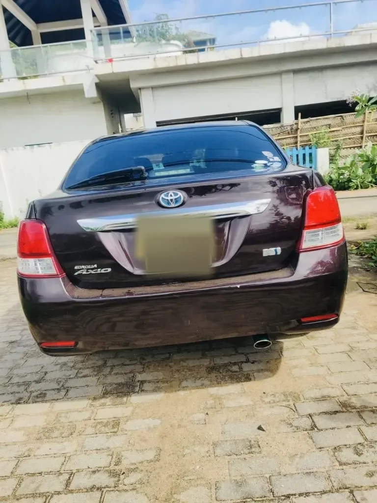 Rear — Toyota Axio