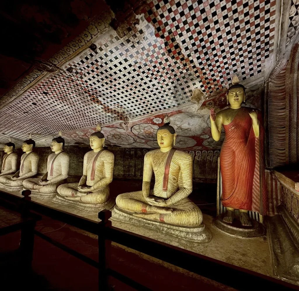 Hasitha gallery image 6