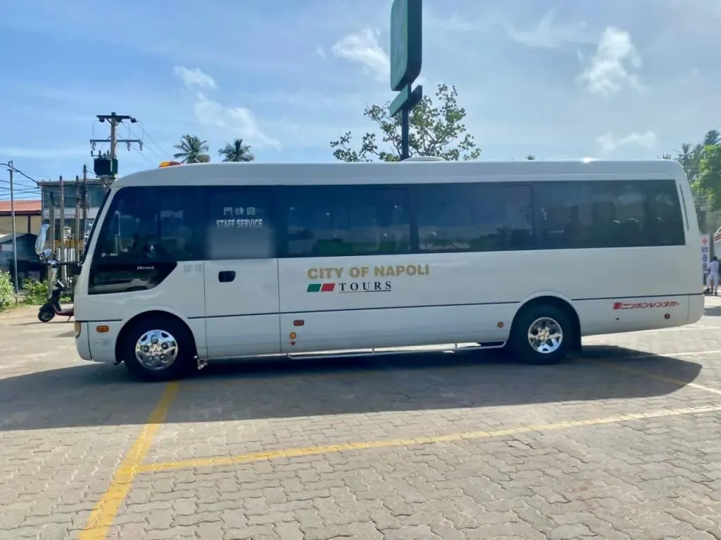 Left side — Mitsubishi Rosa