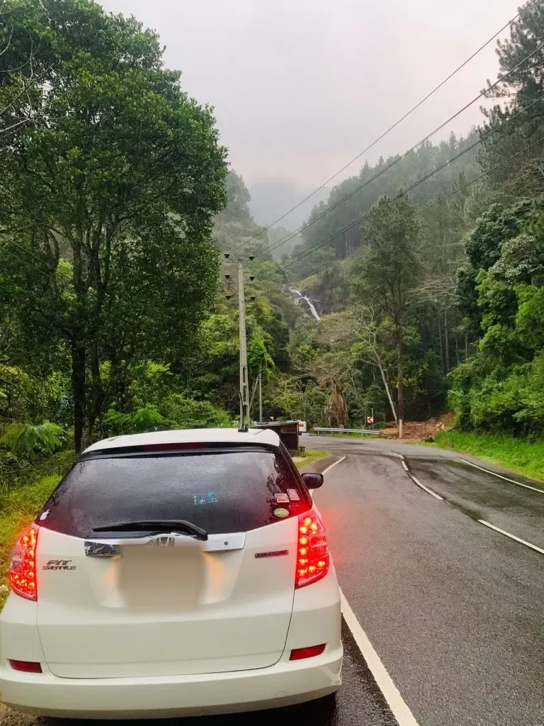 Rear — Honda Fit shuttle