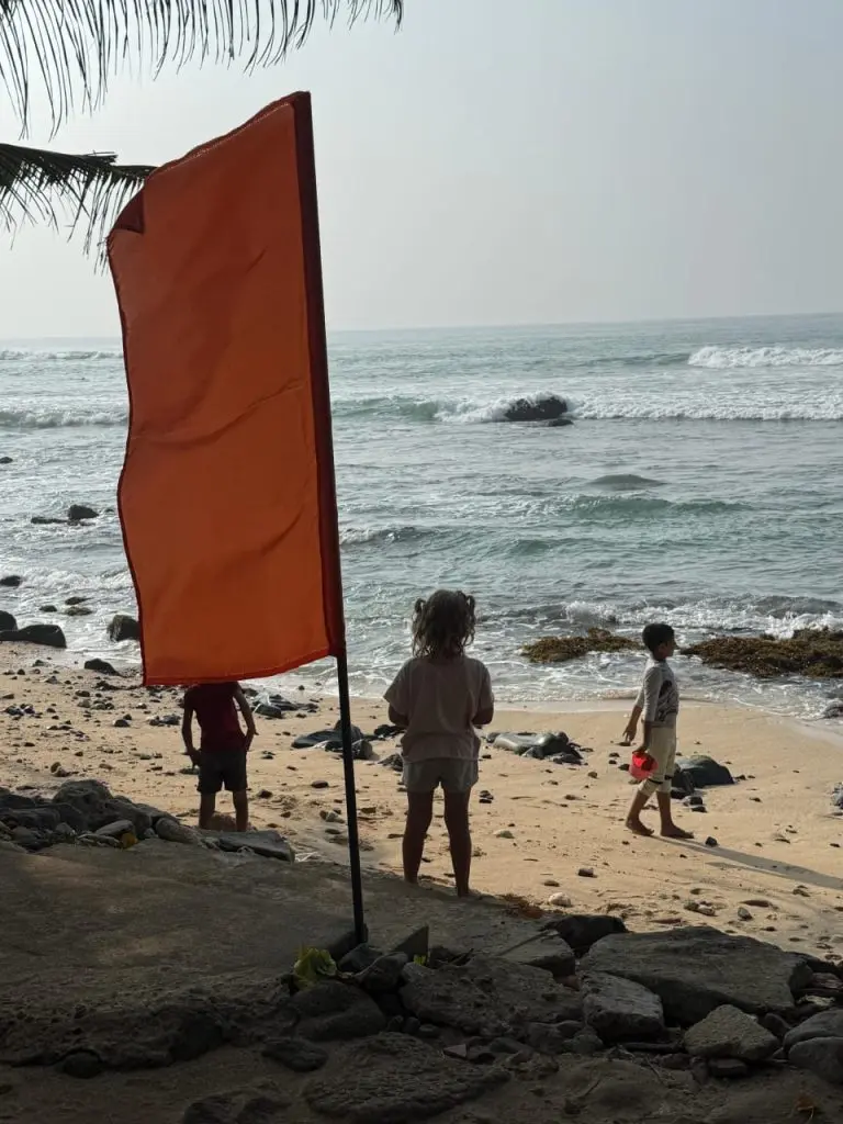 Gangoda gallery image 19