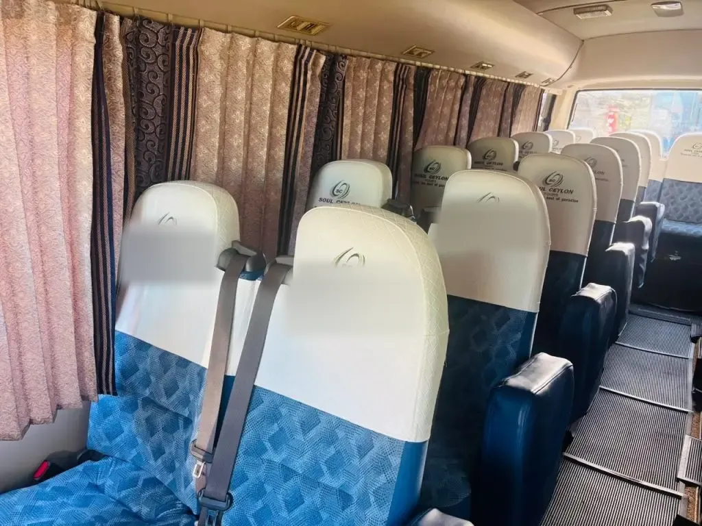 Soul C. Tours service gallery image 1