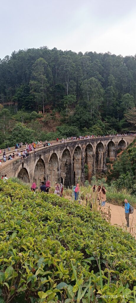 Srilanka gallery image 8