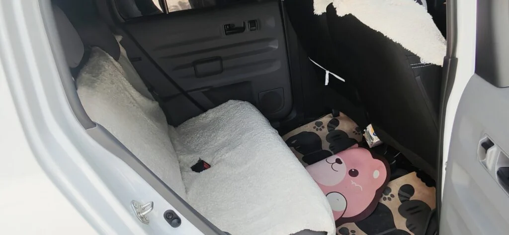 Interior left — Daihatsu Taft