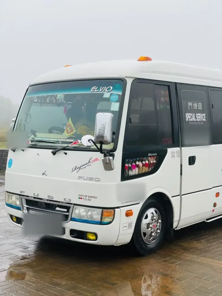 Rear — Mitsubishi Rosa