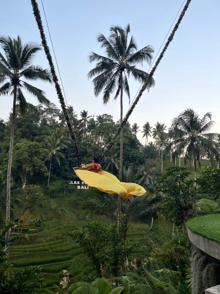 Ketut gallery image 4