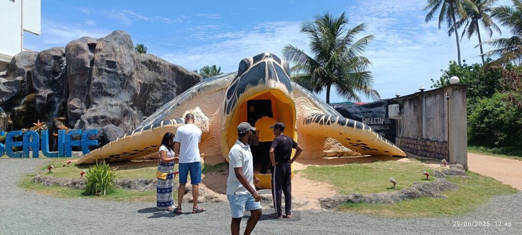 Srilanka gallery image 3