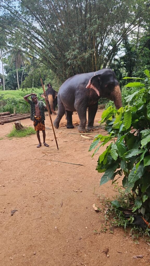 Kuranage Transport Company gallery image 17