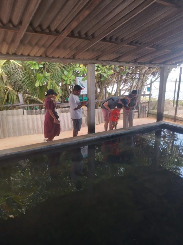 Ceylon D. Tours gallery image 11