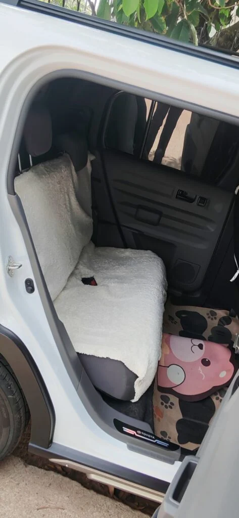 Passenger cabin — Daihatsu Taft