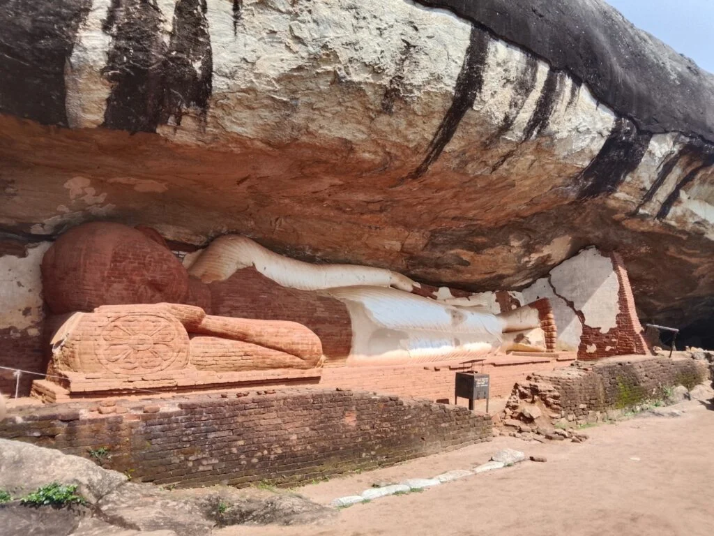 Rajith gallery image 15