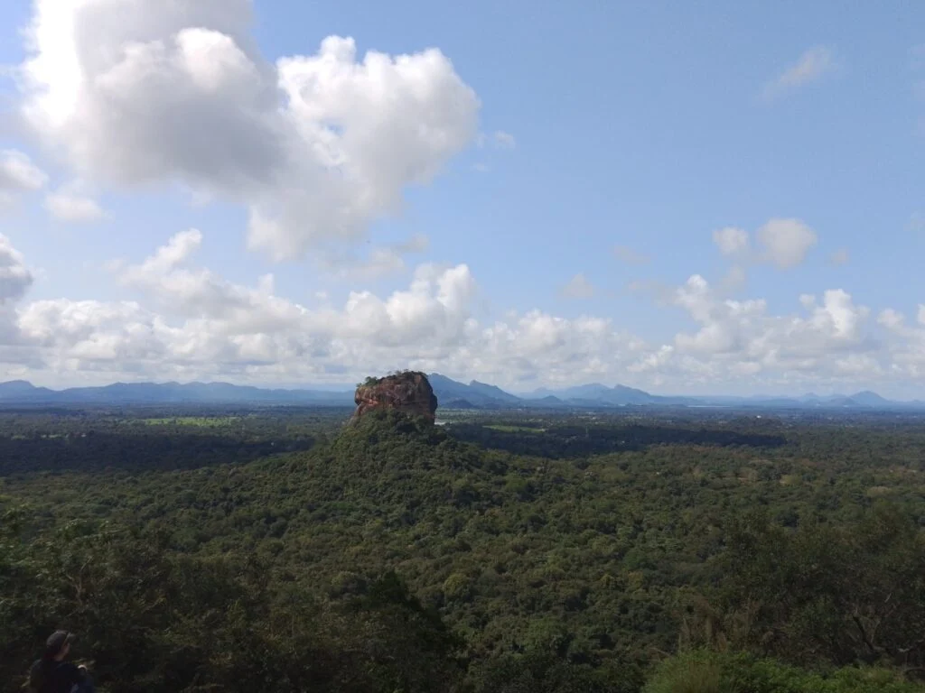 Rajith gallery image 16