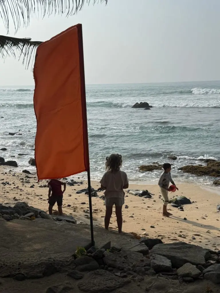 Gangoda gallery image 18