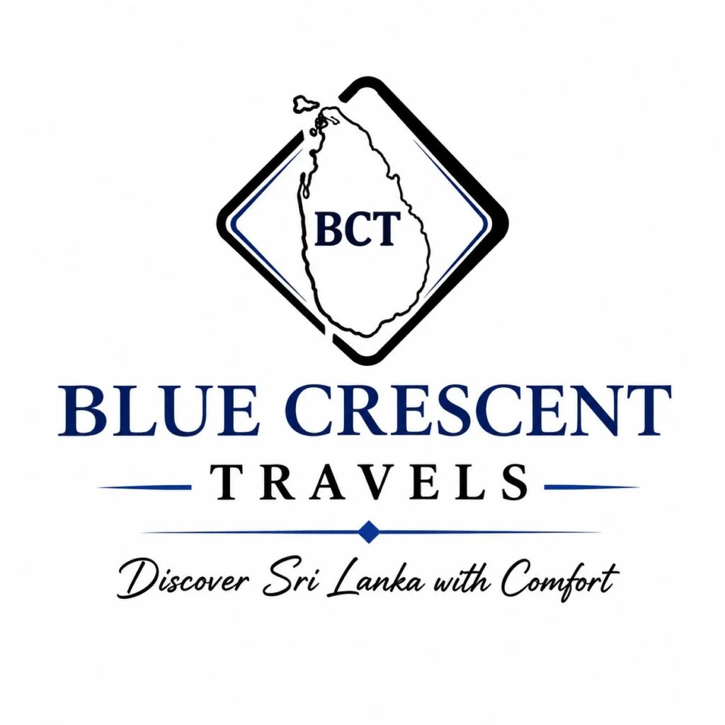 Blue Transport Company gallery image 4